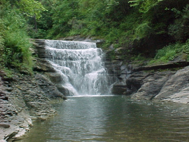cf003.jpg