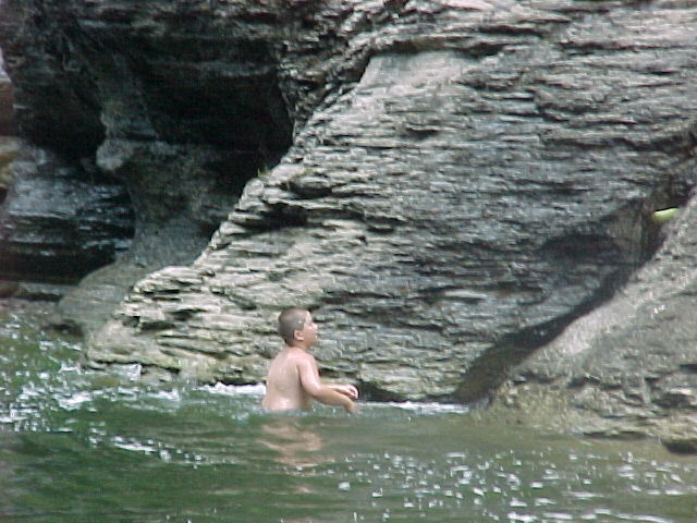 cf005.jpg