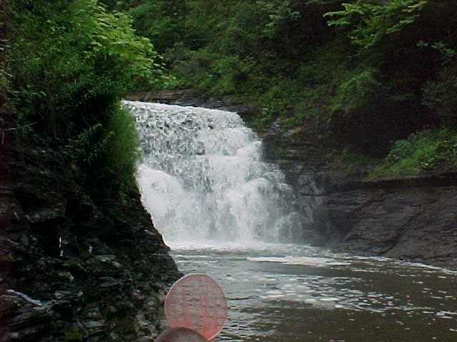 cf010.jpg