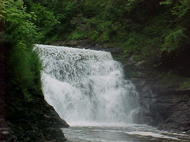 cf011.jpg