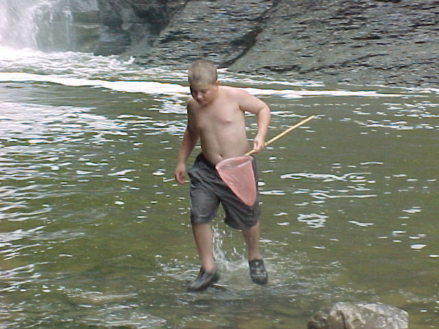 cf012.jpg