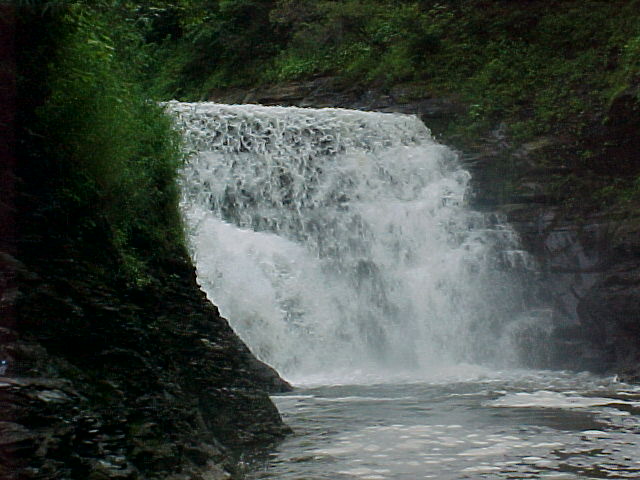 cf013.jpg
