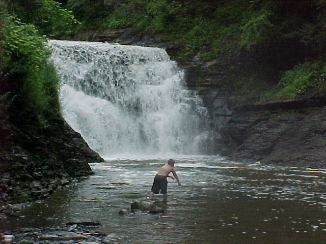 cf015.jpg