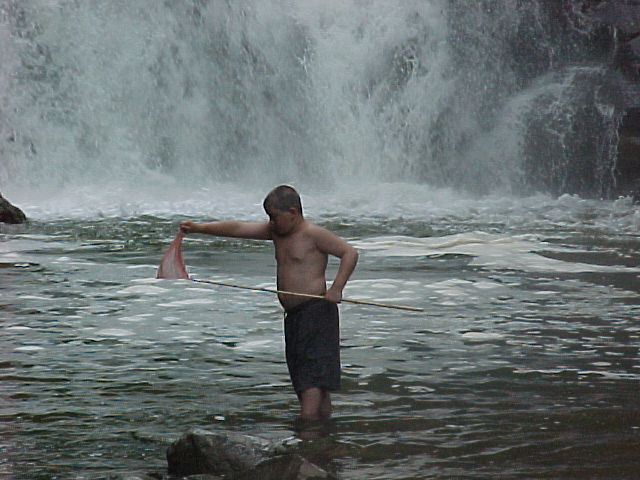 cf016.jpg