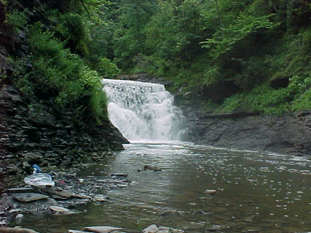 cf020.jpg