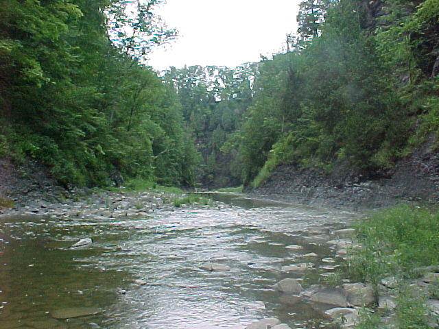 cf021.jpg