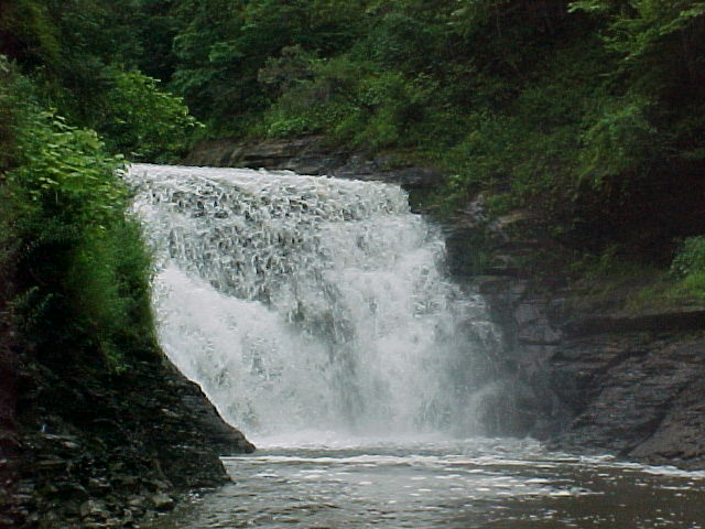 cf024.jpg
