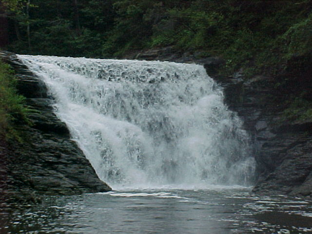 cf81603a.jpg