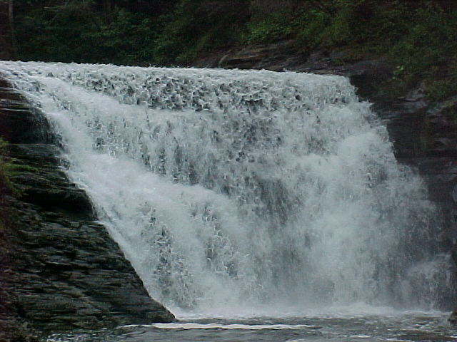 cf81603g.jpg