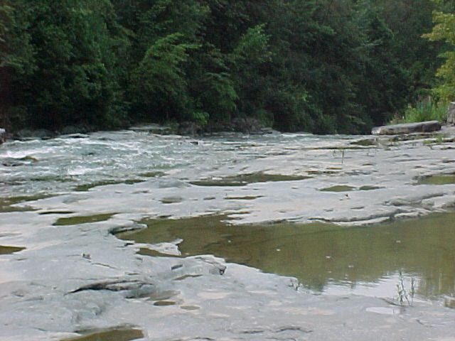 cf81603h.jpg